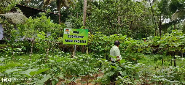 farm project