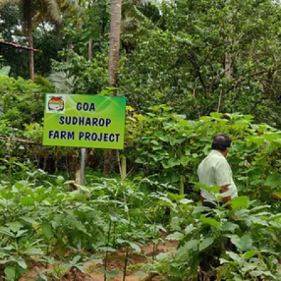 farm project